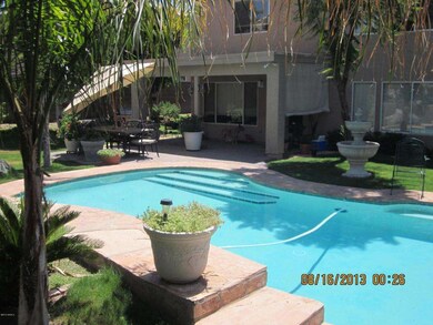 Pool & Patio