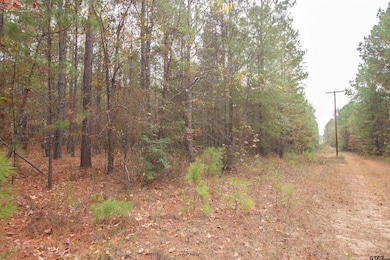 TBD County Road 169d, Kilgore, TX 75662 - photo 2