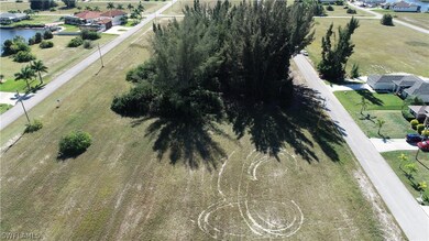 2825 NW 45th Place, Cape Coral, FL 33993 - photo 6