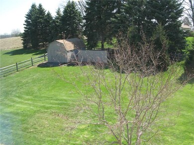 Back yard view