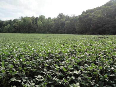 11152 Lewis Rd, Laurel, IN 47024 - photo 3