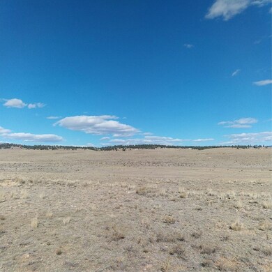 3552 Ute Trace, Hartsel, CO 80449 - photo 4