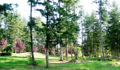 9317 Stein Rd, Custer, WA 98240 - photo 3