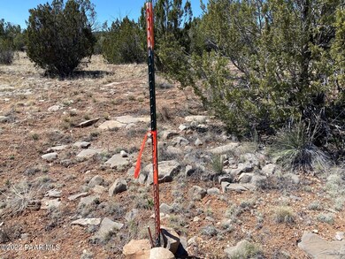 53128/78 N Cloudcroft Way, Seligman, AZ 86337 - photo 3