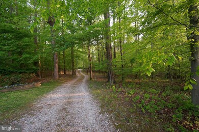 3227A Offutt Rd, Randallstown, MD 21133 - photo 4