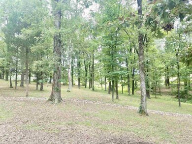 2319 County Road 333, Bono, AR 72416 - photo 2