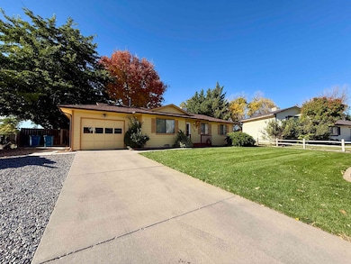 2979 Pinyon Ave, Grand Junction, CO 81504 - photo 4