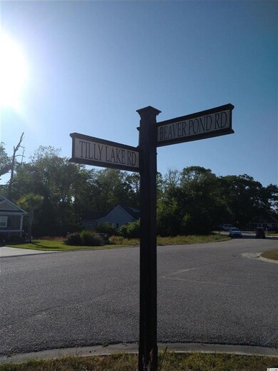 856 Tilly Lake Rd unit Lot 45, Conway, SC 29526 - photo 2