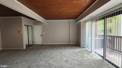 53 Skyhill Rd unit 301, Alexandria, VA 22314 - photo 4