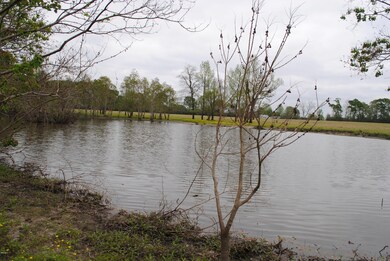 Pond 2