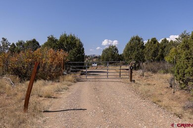 540 D Bar K Dr, Durango, CO 81301 - photo 4