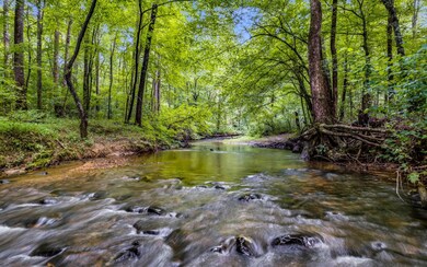 432 Licklog Rd, Ellijay, GA 30536 - photo 3