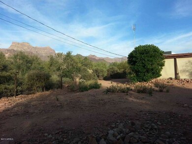 back yard view