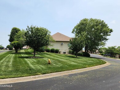 Side Yard