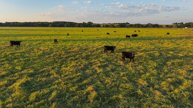 675 Hundley Rd, Montague, TX 76251 - photo 6