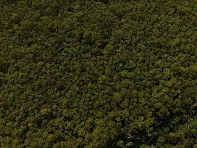 TBD Gunboat Landing Rd, Maurepas, LA 70449 - photo 3