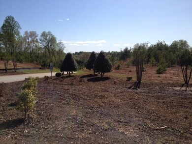 Lot 73 Waters Edge Ct unit 503 Waters Edge Ct., West Union, SC 29696 - photo 3