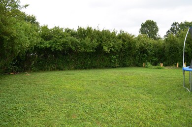 c rear yard