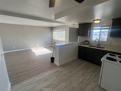 1064 W 48th St, San Bernardino, CA 92407 - photo 3