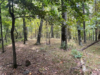 1154 Cold Spring Roa Cold Spring Rd, Clinton Corners, NY 12514 - photo 6