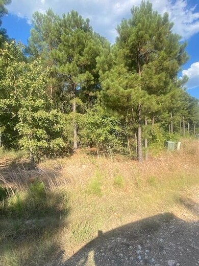 11 Sweet Elm Ln, Broken Bow, OK 74728 - photo 3