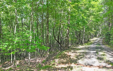 Additional View