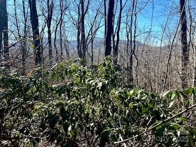 9999-1 Nesbitt Chapel Rd, Fairview, NC 28730 - photo 2