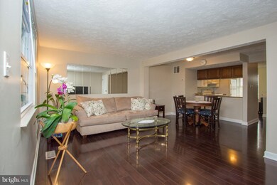 5910 Rowanberry Dr, Elkridge, MD 21075 - photo 5