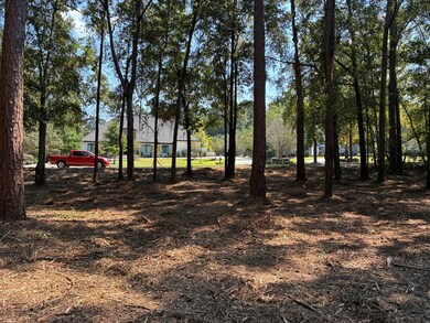 Lot 3 Hampton Way, Dothan, AL 36305 - photo 6