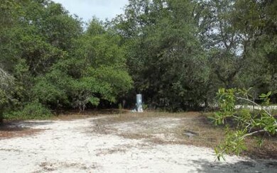 542 Angel Glen, Fort White, FL 32038 - photo 2