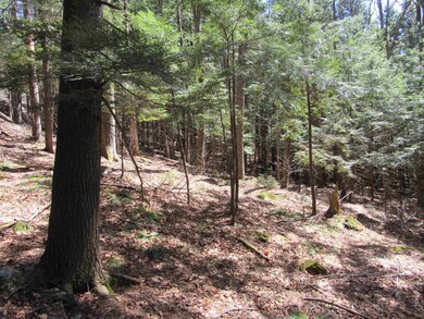 0 Stratton View Rd unit 26, Winhall, VT 05340 - photo 7