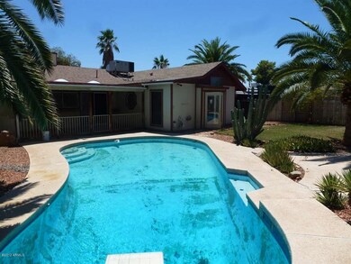 backyard pool