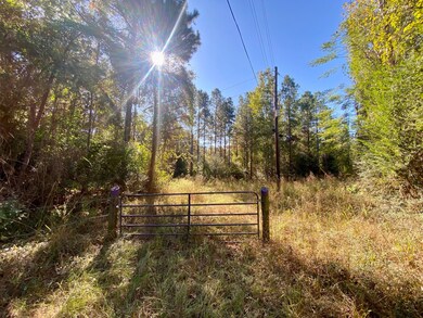 TBD Cr 2265, Grapeland, TX 75844 - photo 2