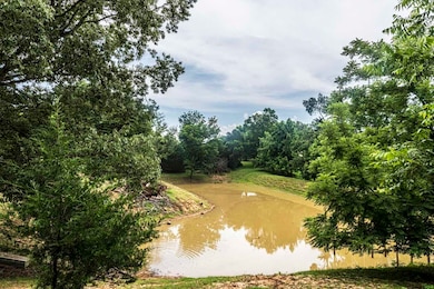 Water view of pond.  Great for livestock