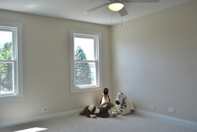 29W128 Wagner Rd, Naperville, IL 60564 - photo 5