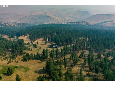61016 Low Gap Ln, Long Creek, OR 97856 - photo 6