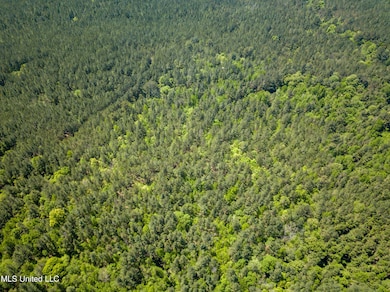 DJI_0492