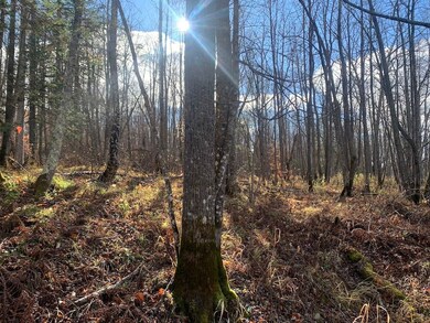 Tbd State Highway 65, Jacobson, MN 55752 - photo 6