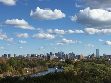 151 Coolidge Ave unit 703, Watertown, MA 02472 - photo 6