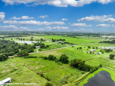 8 Acres Farm To Market 2988, Navasota, TX 77868 - photo 7