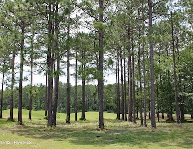 6247 Castlebrook Way SW, Ocean Isle Beach, NC 28469 - photo 2
