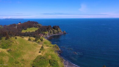 6125 Cliff Point Rd, Kodiak, AK 99615 - photo 6
