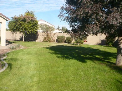 yard 2