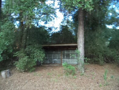 232 Casora Dr, Crawfordville, FL 32327 - photo 5