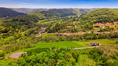 05_DJI_0950_mls