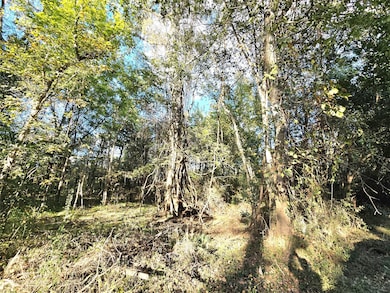 TBD County Road 2167, Cleveland, TX 77327 - photo 5