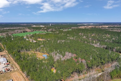 00 Myers Mayo Lot 4 Rd, Ridgeville, SC 29472 - photo 3