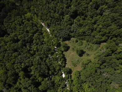 DJI_0443
