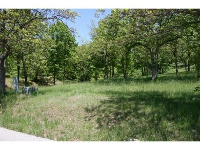 Lot 43 Loch Dr, Kimberling City, MO 65686 - photo 7