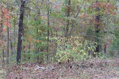 0 Dily Cir unit 1163213, Bella Vista, AR 72715 - photo 2